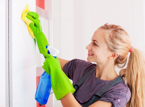 Professional pet stain odour removal on carpet in Merton