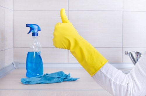 Deep cleaning and stain treatment for rugs and carpets